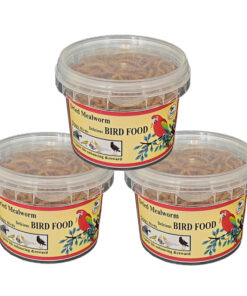 غذای تشویقی عروس هلندی فود فارمز لند مدل میل ورم وزن 50 گرم بسته 3 عددی