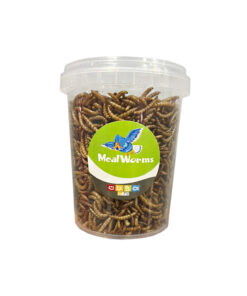 تشویقی مرغ مینا شهرپت مدل Mealworm وزن 100 گرم