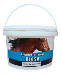 مکمل پروبیوتیک دام مدل Biosa وزن 750 گرم