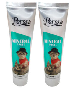 خمیر مینرال گربه پرسا مدل Mineral Paste وزن 100 گرم بسته 2 عددی