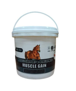 مکمل عضله ساز اسب مدل MUSCLE GAIN وزن 750 گرمی