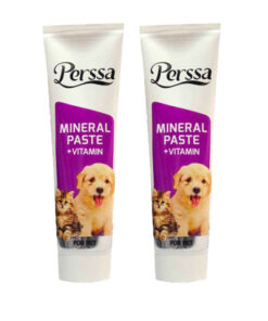 خمیر مینرال سگ و گربه پرسا مدل Mineral وزن 100 گرم بسته 2 عددی