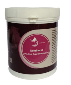 مکمل مواد معدنی اسب فست‌کوک مدل Gemineral وزن 1 کیلوگرم