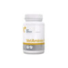 قرص مکمل سگ وت اکسپرت مدل VetAminex ویتامین و مینرال بسته 60 عددی