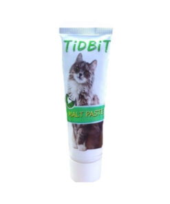 خمیر مالت گربه تیدبیت مدل chicken وزن 110 گرم