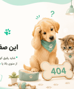 لنت ترمز جلو خودرو ای وان مدل BFP-1194 دو جفت مناسب برای هیوندای سانتافه و کیا سورنتو