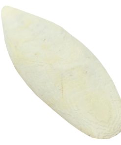 کف دریا کد M136 وزن 70 گرم