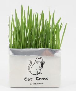 علف گربه مدل Catgrass